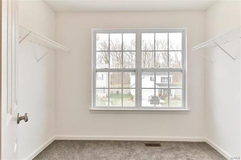 838 Bluff Brook Dr, O'fallon, MO 63366 photo 44