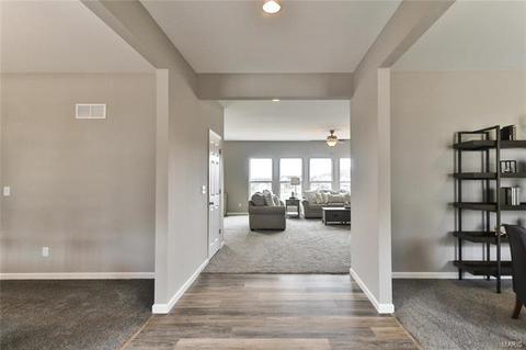838 Bluff Brook Dr, O'fallon, MO 63366 photo 3