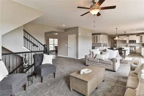 838 Bluff Brook Dr, O'fallon, MO 63366 photo 12