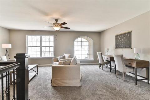 838 Bluff Brook Dr, O'fallon, MO 63366 photo 30