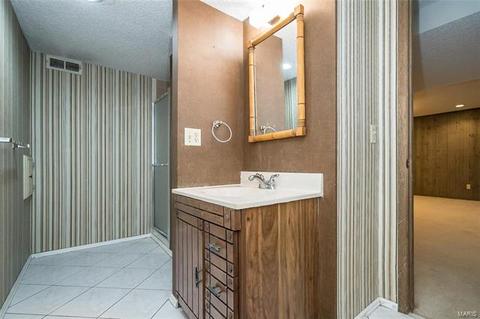 5 Sugar Hill Ct, Manchester, MO 63021 photo 37