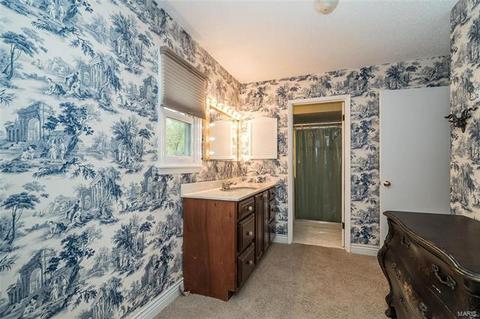5 Sugar Hill Ct, Manchester, MO 63021 photo 32