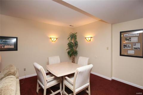 1134 Richland Meadows Dr, Ballwin, MO 63021 photo 22