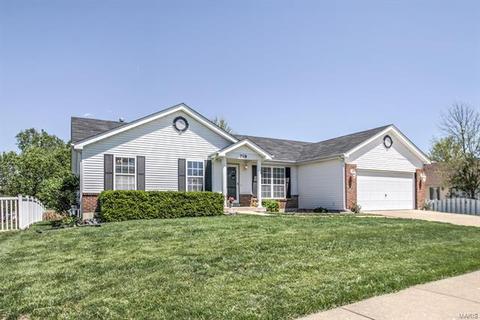 219 Royallmanor Ln, O'fallon, MO 63368 photo 27