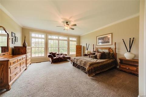 657 Clifden Dr, Weldon Spring, MO 63304 photo 71