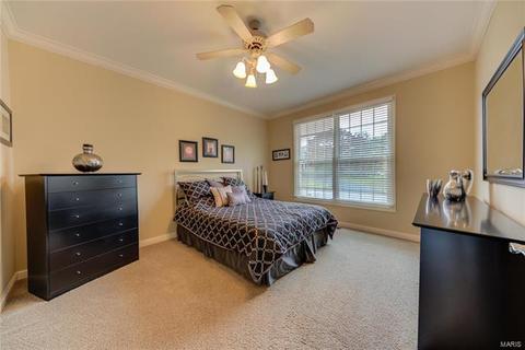 657 Clifden Dr, Weldon Spring, MO 63304 photo 68