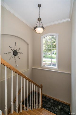 657 Clifden Dr, Weldon Spring, MO 63304 photo 54