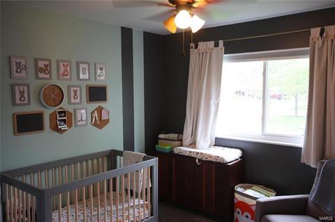 253 Treasure Cove Blvd, Ballwin, MO 63021 photo 8