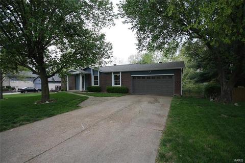 253 Treasure Cove Blvd, Ballwin, MO 63021 photo 35