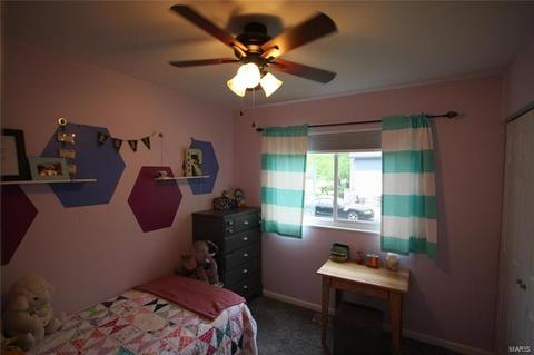 253 Treasure Cove Blvd, Ballwin, MO 63021 photo 10