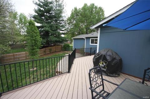 253 Treasure Cove Blvd, Ballwin, MO 63021 photo 30