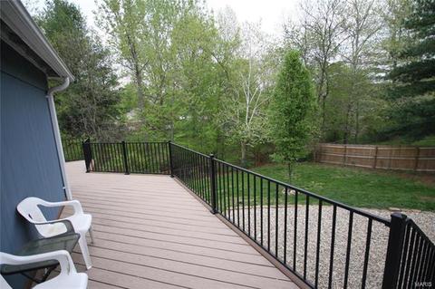 253 Treasure Cove Blvd, Ballwin, MO 63021 photo 25