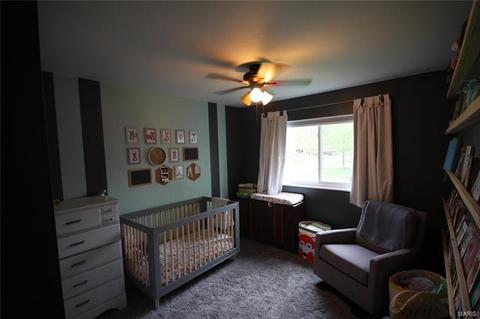 253 Treasure Cove Blvd, Ballwin, MO 63021 photo 9