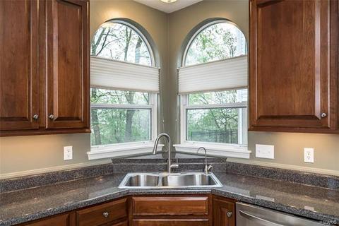 806 Legends View Dr, Eureka, MO 63025 photo 19