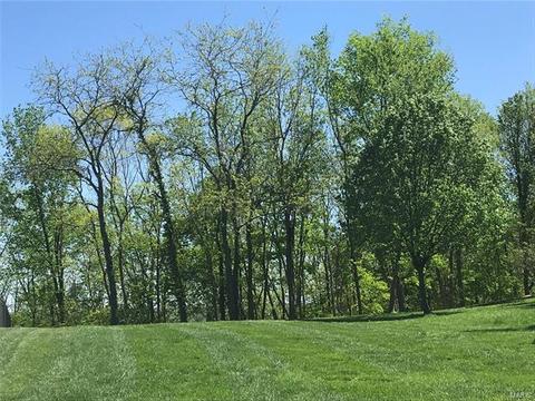 806 Legends View Dr, Eureka, MO 63025 photo 56