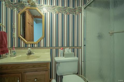 129 Hidden Creek Dr, Ellisville, MO 63011 photo 31