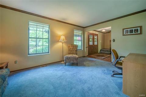 129 Hidden Creek Dr, Ellisville, MO 63011 photo 22