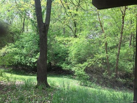 129 Hidden Creek Dr, Ellisville, MO 63011 photo 34