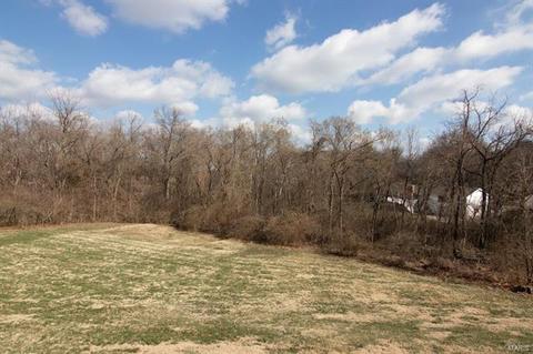 15510 Chequer Dr, Chesterfield, MO 63017 photo 27