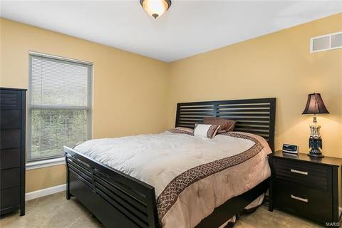 803 Shady Castle Ct, Ballwin, MO 63021 photo 23