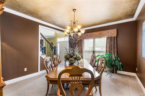 803 Shady Castle Ct, Ballwin, MO 63021 photo 13