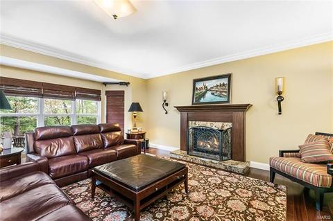 803 Shady Castle Ct, Ballwin, MO 63021 photo 14