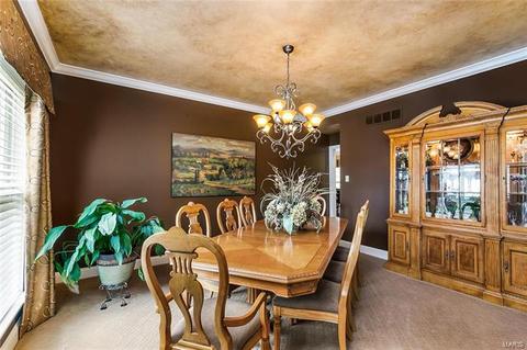 803 Shady Castle Ct, Ballwin, MO 63021 photo 12