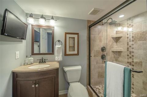 870 Ivy Trce, Ballwin, MO 63021 photo 25