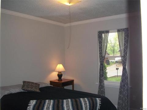 3 Brockton Cir, O'fallon, MO 63366 photo 10