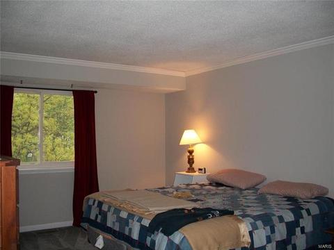 3 Brockton Cir, O'fallon, MO 63366 photo 11