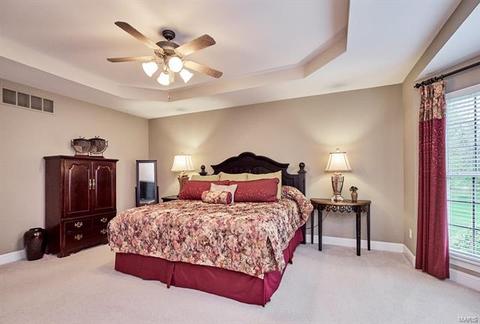7822 Wind Hill Dr, O'fallon, MO 63368 photo 63