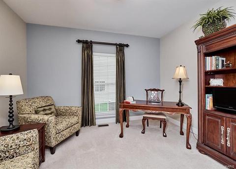 7822 Wind Hill Dr, O'fallon, MO 63368 photo 34