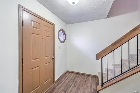 1017 Alpine Ridge Dr, Ballwin, MO 63021 photo 3