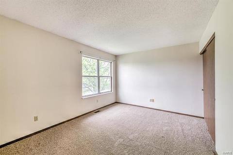 1017 Alpine Ridge Dr, Ballwin, MO 63021 photo 16