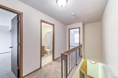 1017 Alpine Ridge Dr, Ballwin, MO 63021 photo 12