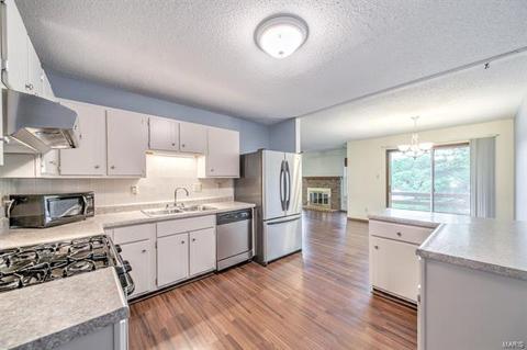 1017 Alpine Ridge Dr, Ballwin, MO 63021 photo 10