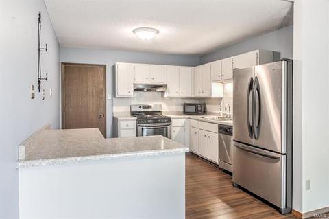 1017 Alpine Ridge Dr, Ballwin, MO 63021 photo 8