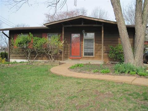 243 E Skyline Dr, Ballwin, MO 63011 photo 2