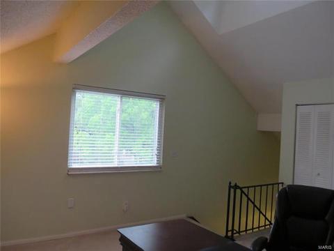 1610 Award Dr, Manchester, MO 63021 photo 19