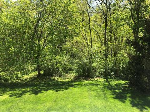 36 Red Cedar, Saint Charles, MO 63303 photo 6