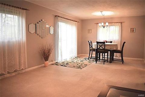 17 Roland Ave, Ballwin, MO 63021 photo 12