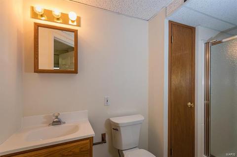 1714 Connemara Dr, Manchester, MO 63021 photo 34