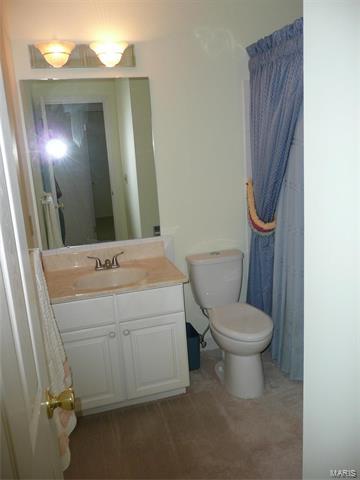1013 Van Dyke, Ballwin, MO 63011 photo 13
