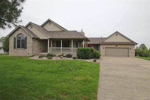 31724 Springman Ct, Brighton, IL 62012 photo 1