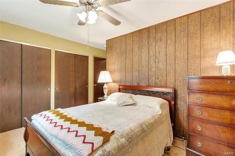 407 Marie Ln, Manchester, MO 63011 photo 23
