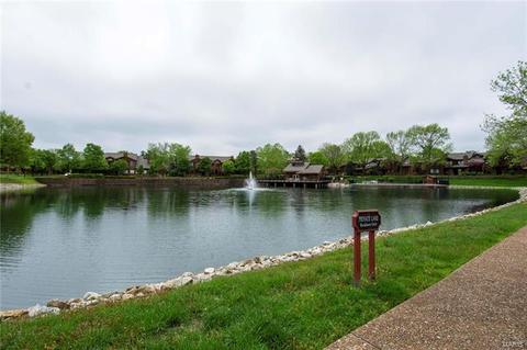 1703 Hemingway Ln, Weldon Spring, MO 63304 photo 19