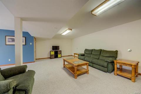 246 Birmingham, O'fallon, MO 63366 photo 32