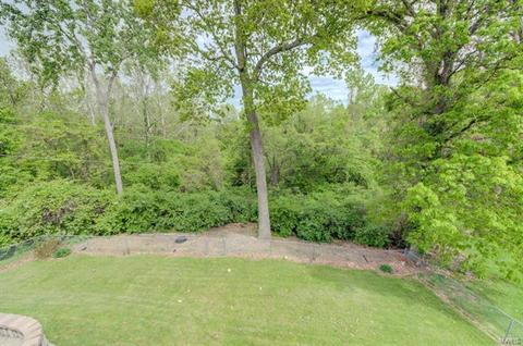 246 Birmingham, O'fallon, MO 63366 photo 37