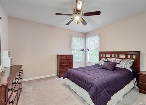 869 Mallard Woods, Manchester, MO 63021 photo 18