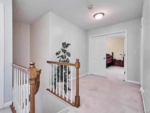 869 Mallard Woods, Manchester, MO 63021 photo 20